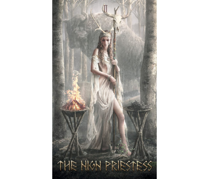 Набор Руническое Таро - Runic Tarot Kit. Lo Scarabeo