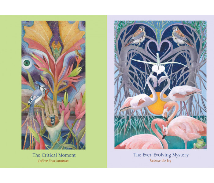 Оракула Пути Сердца - The Heart Path Oracle Cards. Bear & Company