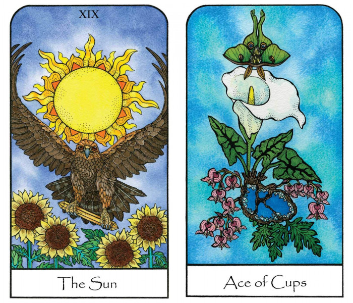 Таро Духа Природы — Nature Spirit Tarot. Bear & Company