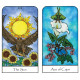 Таро Духа Природы — Nature Spirit Tarot. Bear & Company