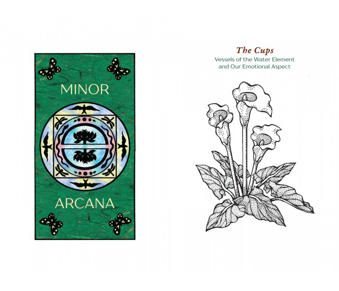 Таро Духа Природы — Nature Spirit Tarot. Bear & Company