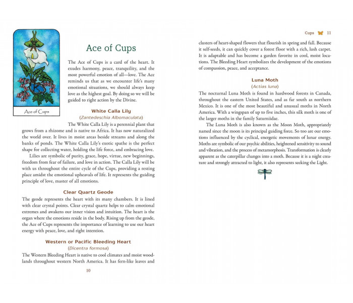 Таро Духа Природы — Nature Spirit Tarot. Bear & Company