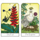 Таро Духа Природы — Nature Spirit Tarot. Bear & Company
