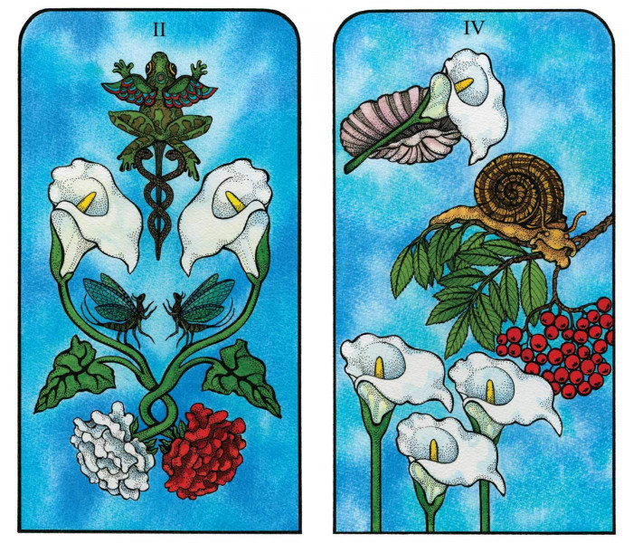 Таро Духа Природы — Nature Spirit Tarot. Bear & Company