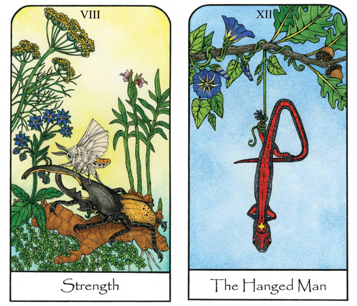 Таро Духа Природы — Nature Spirit Tarot. Bear & Company