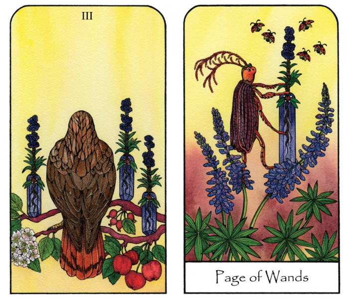 Таро Духа Природы — Nature Spirit Tarot. Bear & Company