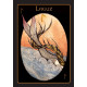 Рунічний Оракул - Rune Oracle. AGM Urania