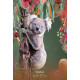Австралійський Оракул Дика Мудрість - Wild Wisdom Australia Oracle. Blue Angel