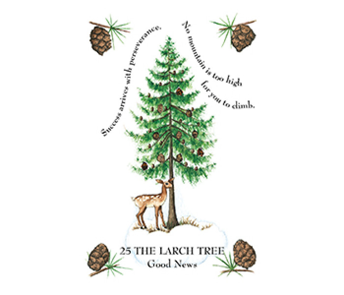 Оракул Магії Дерева - The Tree Magick Oracle Deck. CICO Books
