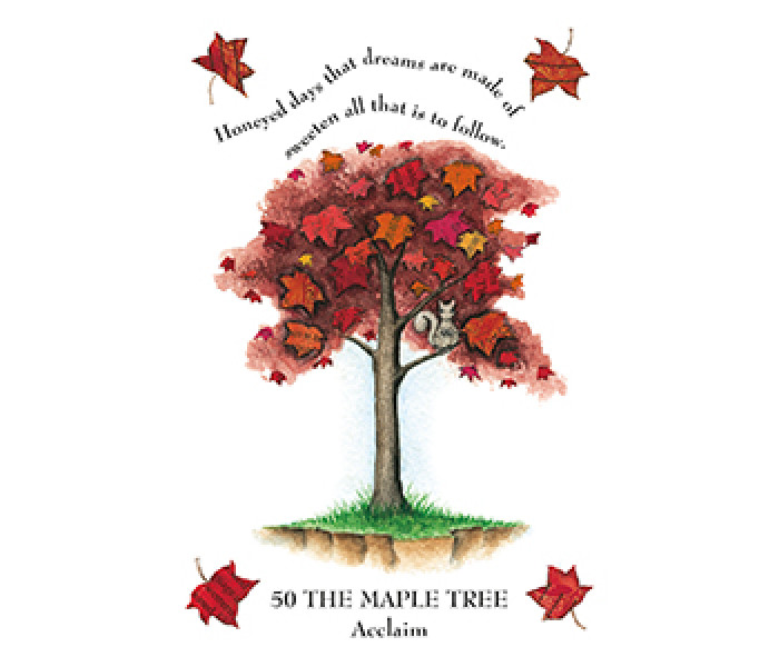 Оракул Магії Дерева - The Tree Magick Oracle Deck. CICO Books