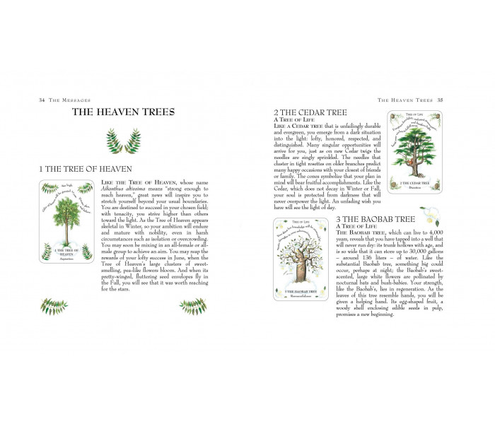 Оракул Магії Дерева - The Tree Magick Oracle Deck. CICO Books