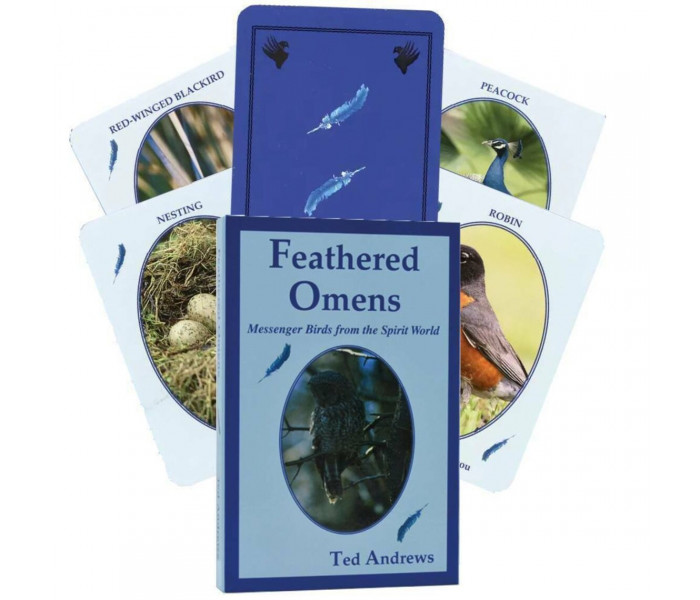 Оракул Птахи З Світу Духів - Birds from the Spirit World Oracle Card Set. Dragonhawk