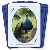 Фото 3 - Оракул Птахи З Світу Духів - Birds from the Spirit World Oracle Card Set. Dragonhawk