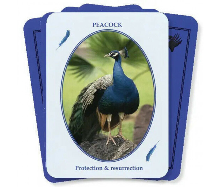 Оракул Птахи З Світу Духів - Birds from the Spirit World Oracle Card Set. Dragonhawk