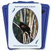 Фото 4 - Оракул Птахи З Світу Духів - Birds from the Spirit World Oracle Card Set. Dragonhawk