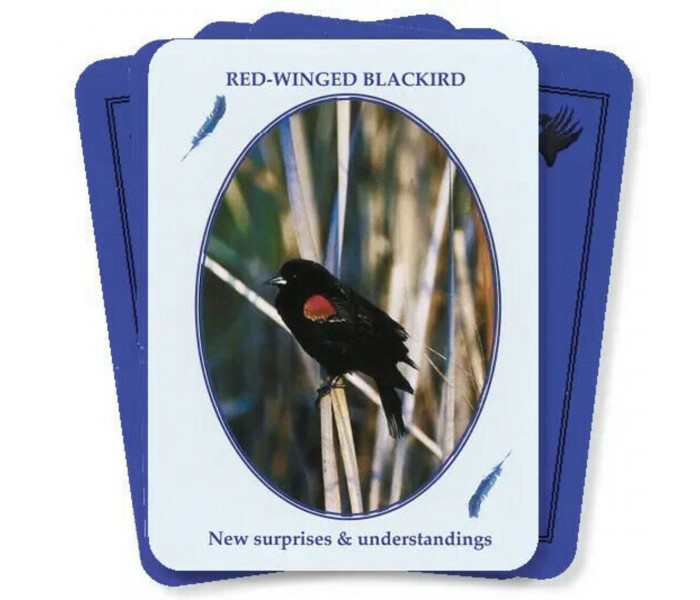 Оракул Птахи З Світу Духів - Birds from the Spirit World Oracle Card Set. Dragonhawk