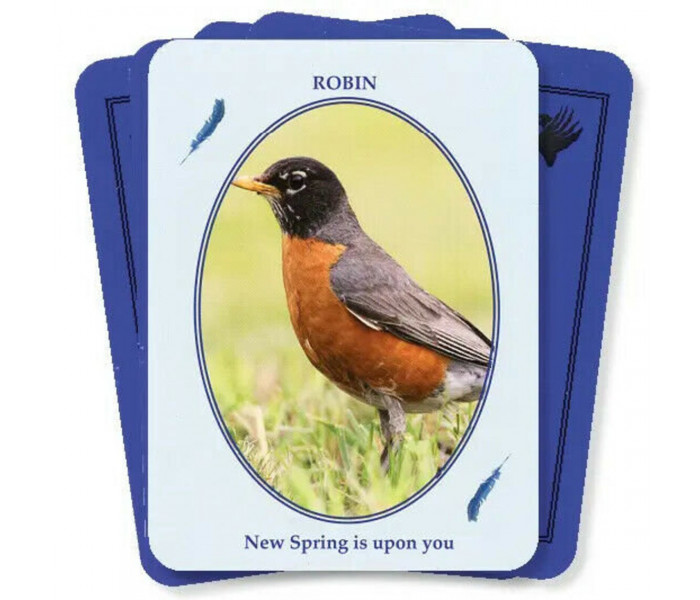 Оракул Птахи З Світу Духів - Birds from the Spirit World Oracle Card Set. Dragonhawk