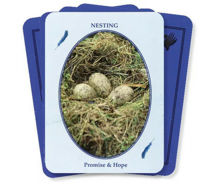 Оракул Птахи З Світу Духів - Birds from the Spirit World Oracle Card Set. Dragonhawk