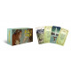 Мини Карты Маги Авалона - Avalon Magic mini inspiration cards. Rockpool Publishing