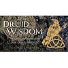 Фото 1 - Мини Карты Мудрость Друидов - Druid Wisdom Mini Cards. Rockpool Publishing