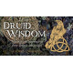 Міні Карти Мудрість Друїдів - Druid Wisdom Mini Cards. Rockpool Publishing