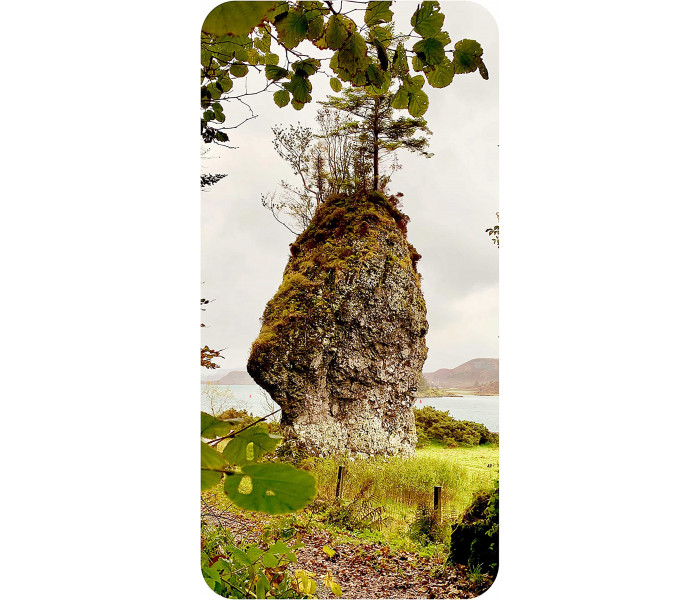 Міні Карти Мудрість Друїдів - Druid Wisdom Mini Cards. Rockpool Publishing