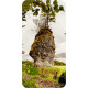 Міні Карти Мудрість Друїдів - Druid Wisdom Mini Cards. Rockpool Publishing