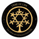 Магический Оракул- Making Magick Oracle. Rockpool Publishing