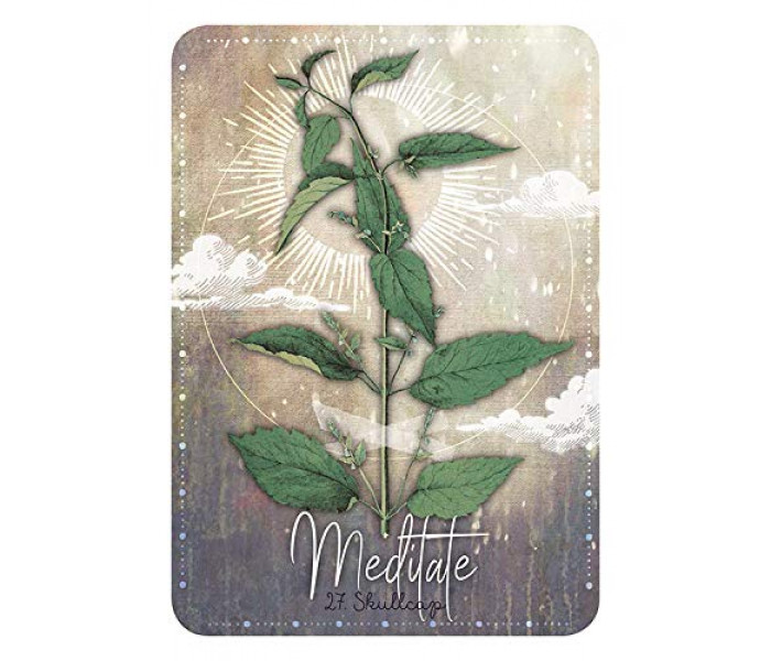 Магический Оракул Трав - Magickal Herb Oracle. Rockpool Publishing