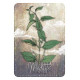 Магический Оракул Трав - Magickal Herb Oracle. Rockpool Publishing