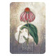 Магический Оракул Трав - Magickal Herb Oracle. Rockpool Publishing
