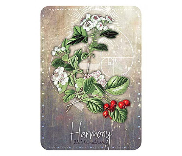 Магический Оракул Трав - Magickal Herb Oracle. Rockpool Publishing