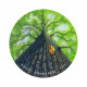 Оракул Кристалічної Медицини - Crystal Medicine Oracle. Rockpool Publishing