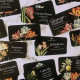 Мини Карты Язык Цветов: Любовная поддержка от мудрости природы - The Language of Flowers: Loving Support from the Wisdom of Nature. Rockpool Publishing