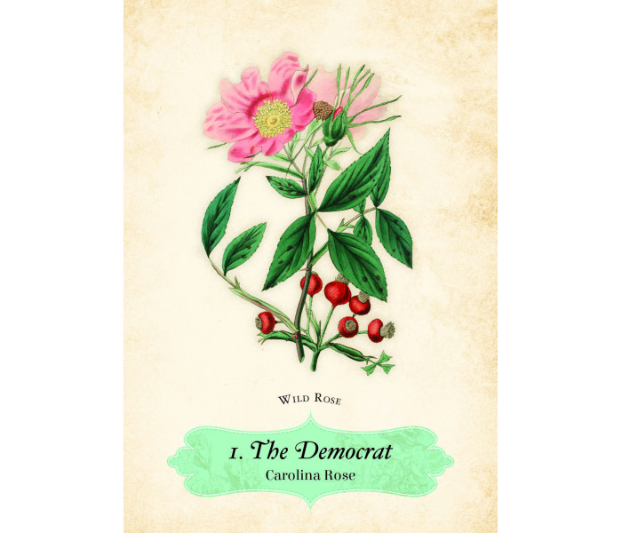 Оракул Роз - Oracle of The Roses. Rockpool Publishing
