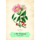 Оракул Роз - Oracle of The Roses. Rockpool Publishing