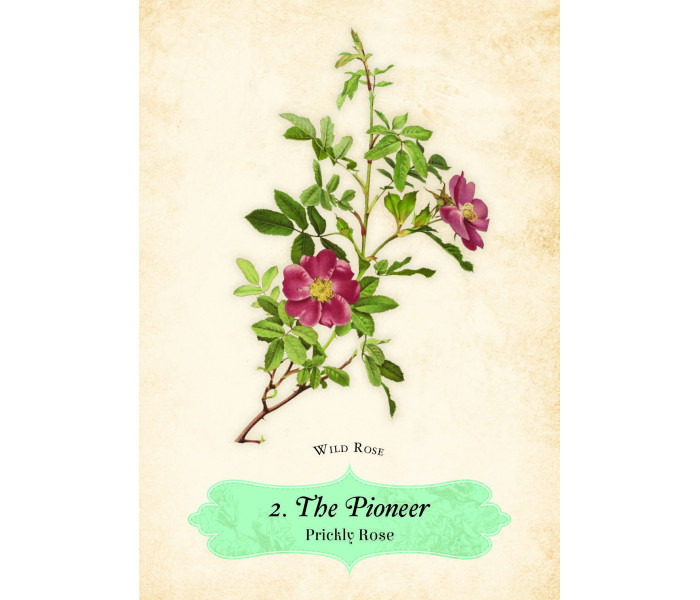 Оракул Роз - Oracle of The Roses. Rockpool Publishing