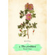 Оракул Роз - Oracle of The Roses. Rockpool Publishing