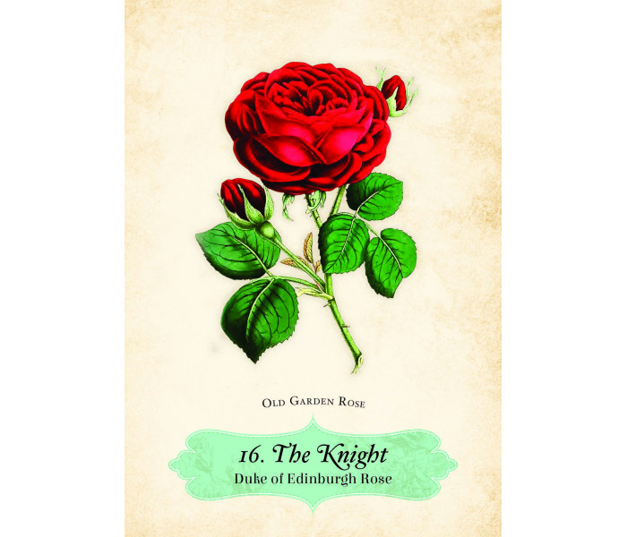 Оракул Роз - Oracle of The Roses. Rockpool Publishing