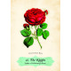 Оракул Роз - Oracle of The Roses. Rockpool Publishing