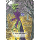 Мистический Марсианский Оракул - Mystic Martian Oracle. Rockpool Publishing
