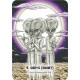 Мистический Марсианский Оракул - Mystic Martian Oracle. Rockpool Publishing