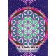 Мистический Марсианский Оракул - Mystic Martian Oracle. Rockpool Publishing