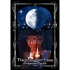 Фото 2 - Оракул Місячна Магія Відьом - Witches Moon Magick Oracle Cards. Solarus