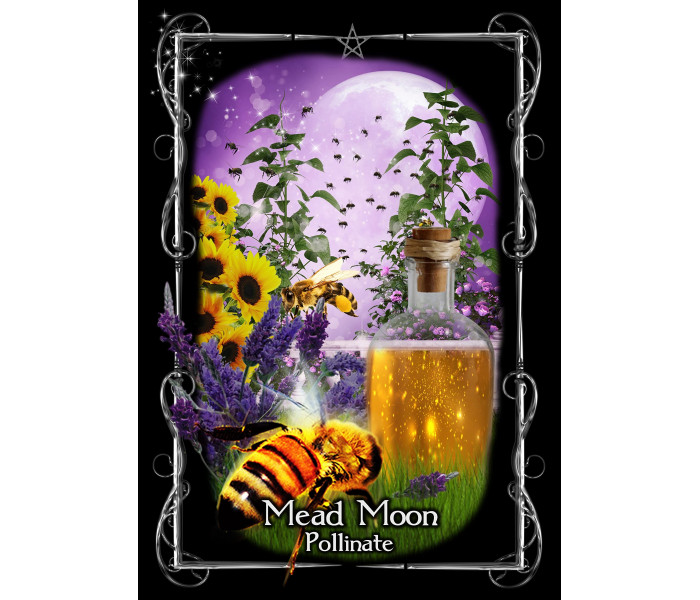 Оракул Місячна Магія Відьом - Witches Moon Magick Oracle Cards. Solarus