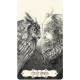 Таро Бездны  - Tarot Of The Abyss. U.S. Games Systems