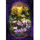 Оракул Мудрость ведьм - Witches Wisdom Oracle Cards. Solarus