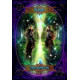 Оракул Мудрость ведьм - Witches Wisdom Oracle Cards. Solarus
