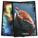 Оракул Керівництво По Тваринах - Animal Guidance & Aspects Oracle Cards. Solaris