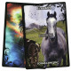 Оракул Керівництво По Тваринах - Animal Guidance & Aspects Oracle Cards. Solaris